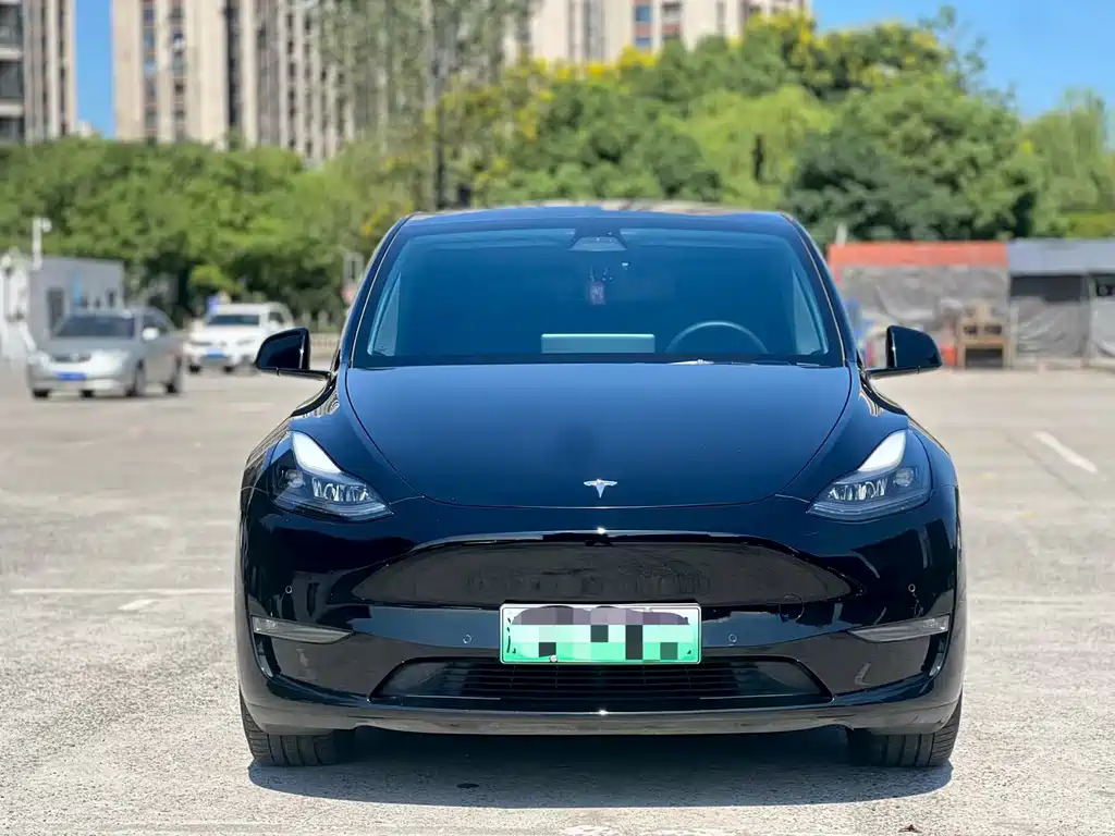 Tesla Model Y — миниатюра 2