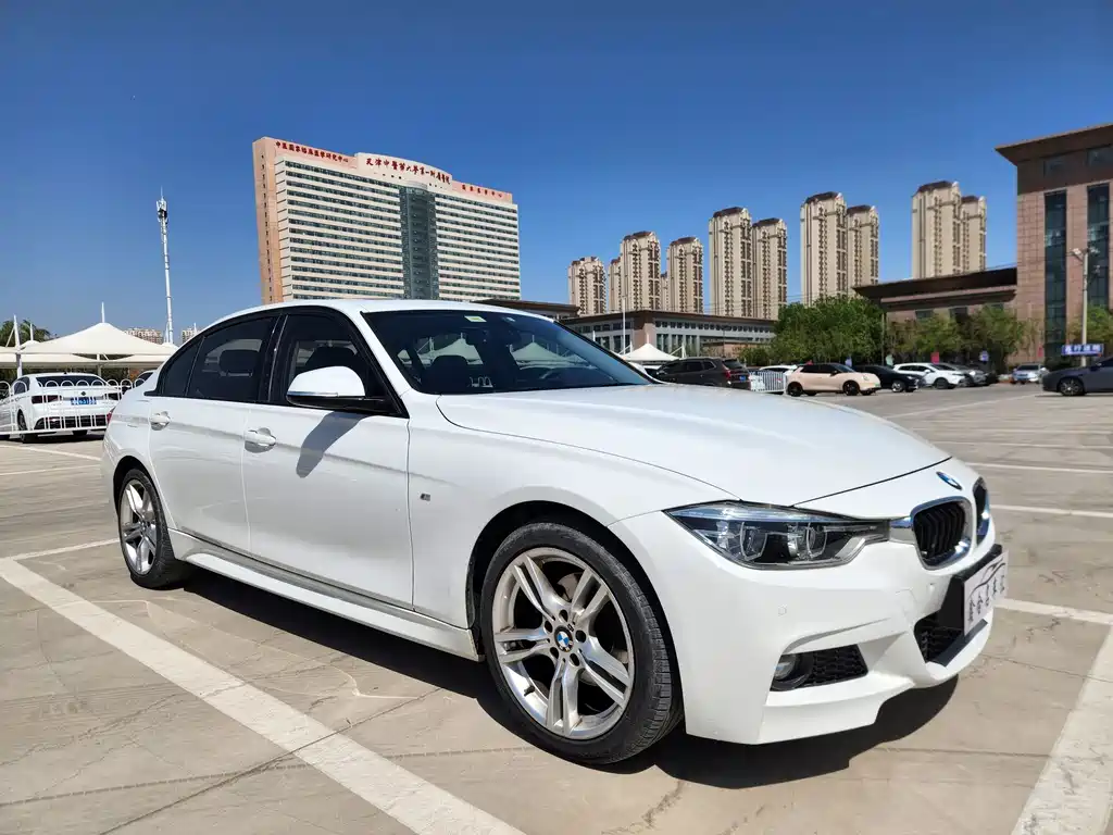 BMW 3 Series 3 2019 320Li M Sport