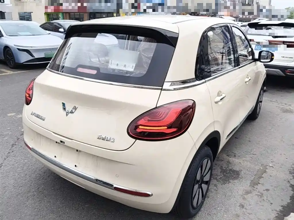 Wuling Binguo 2025 333km Enjoy