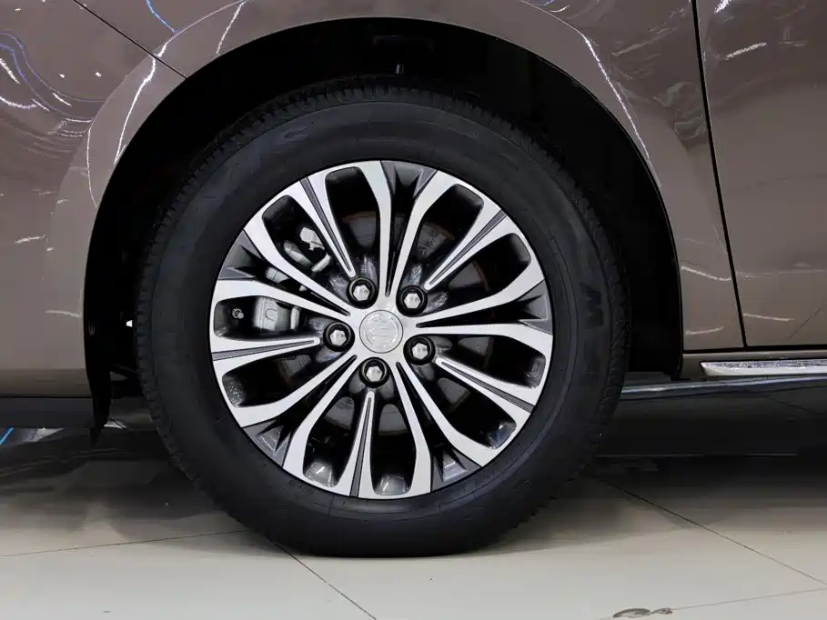 Buick GL8 — миниатюра 13
