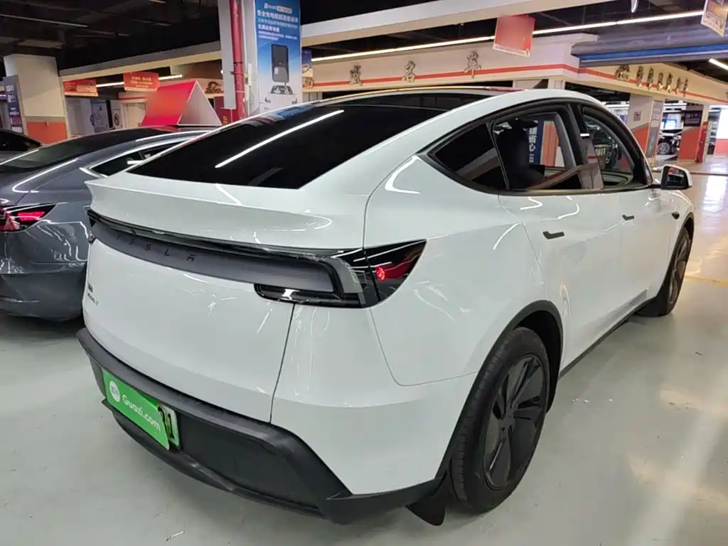 Tesla Model Y — миниатюра 7