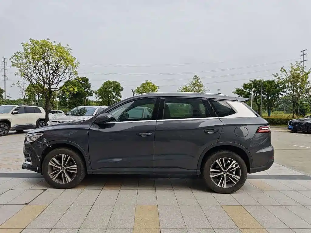 BYD Pro — миниатюра 3