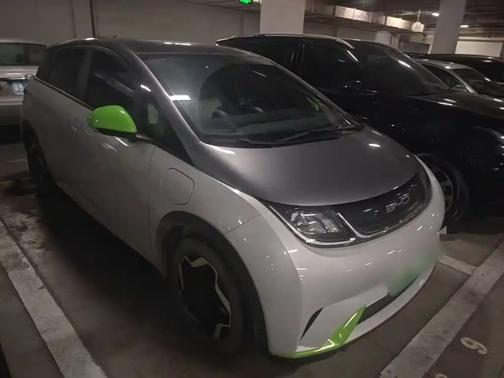 BYD Dolphin 2021 405km Fashion