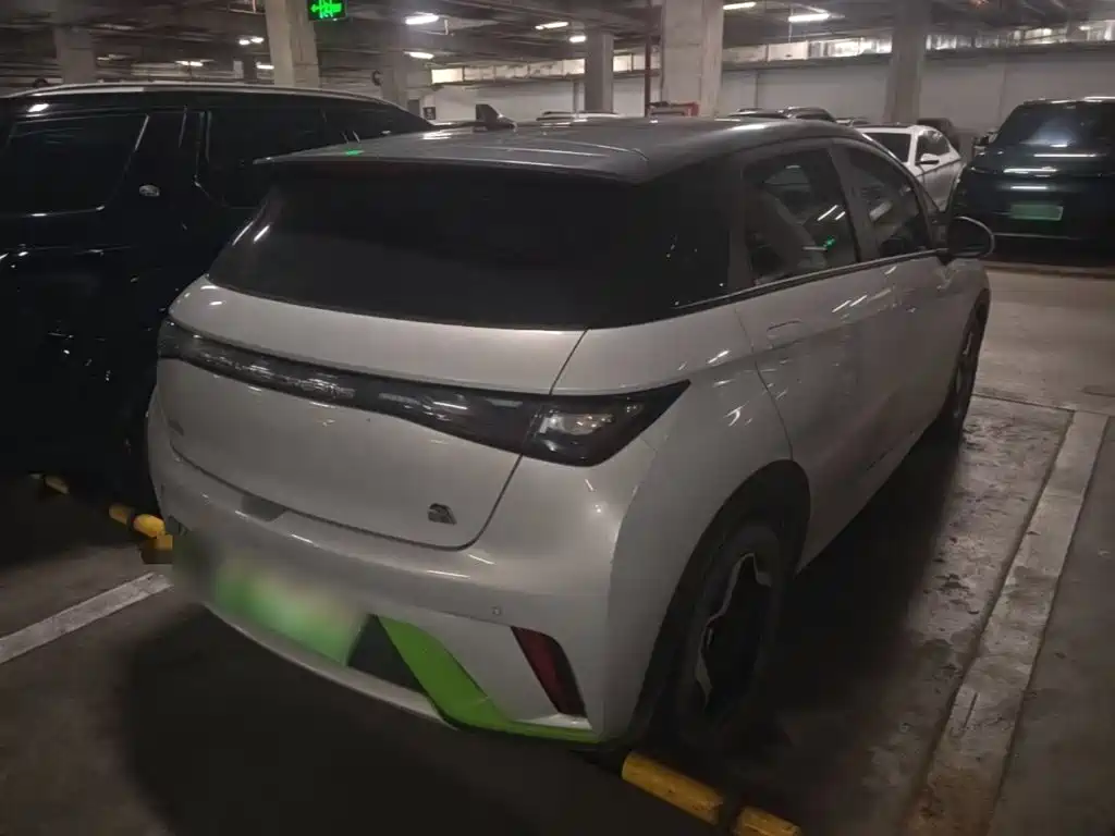 BYD Dolphin 2021 405km Fashion