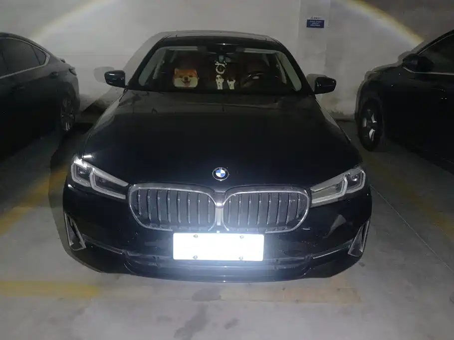 BMW 5 Series — миниатюра 2