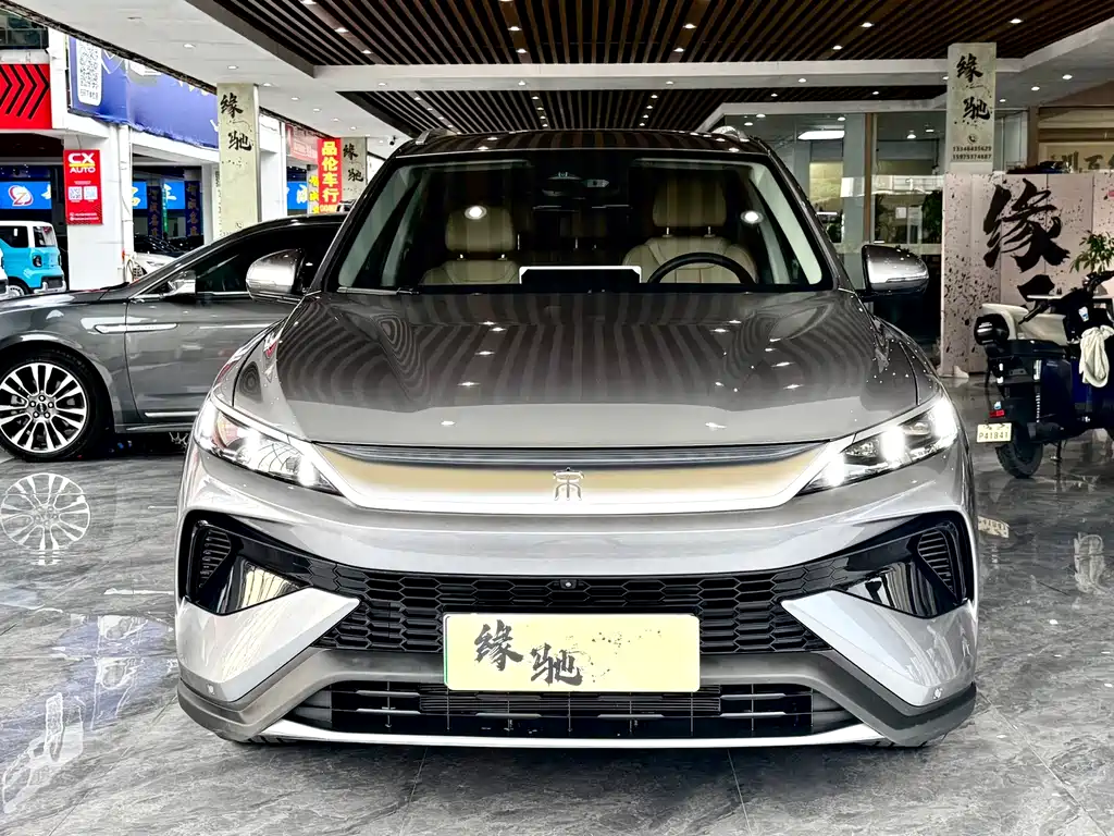 BYD Pro New Energy — миниатюра 2