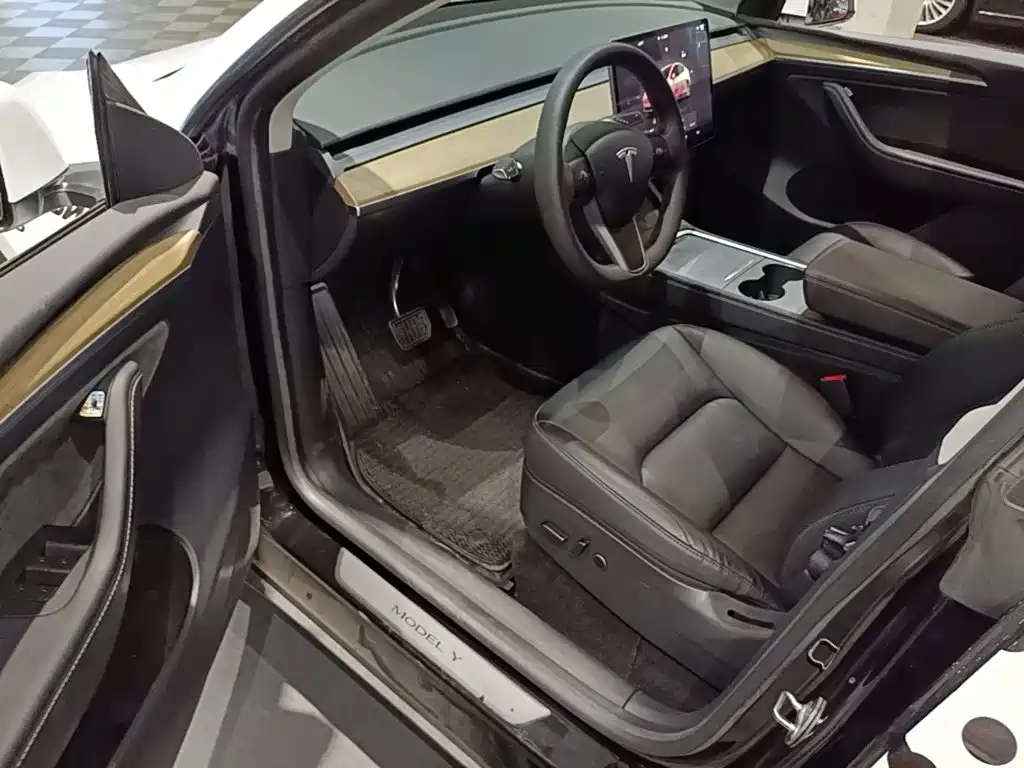 Tesla Model Y — миниатюра 16