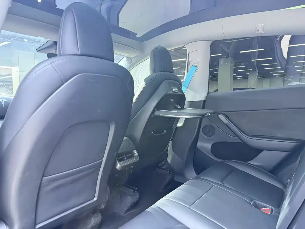 Tesla Model Y — миниатюра 2