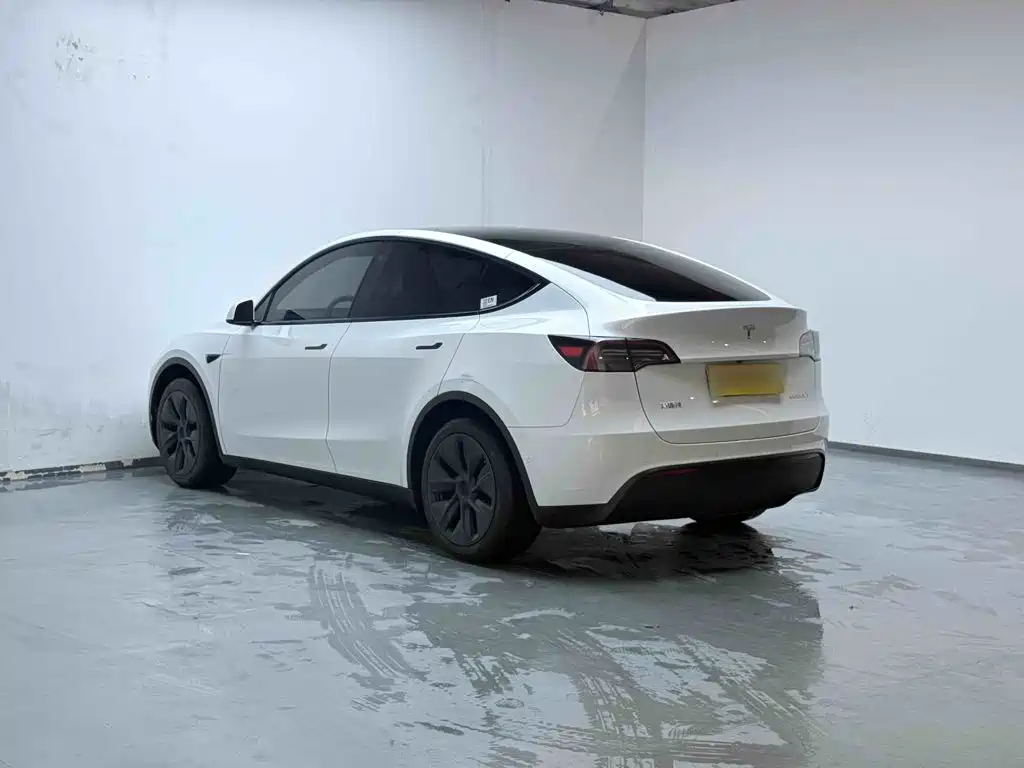 Tesla Model Y — миниатюра 5