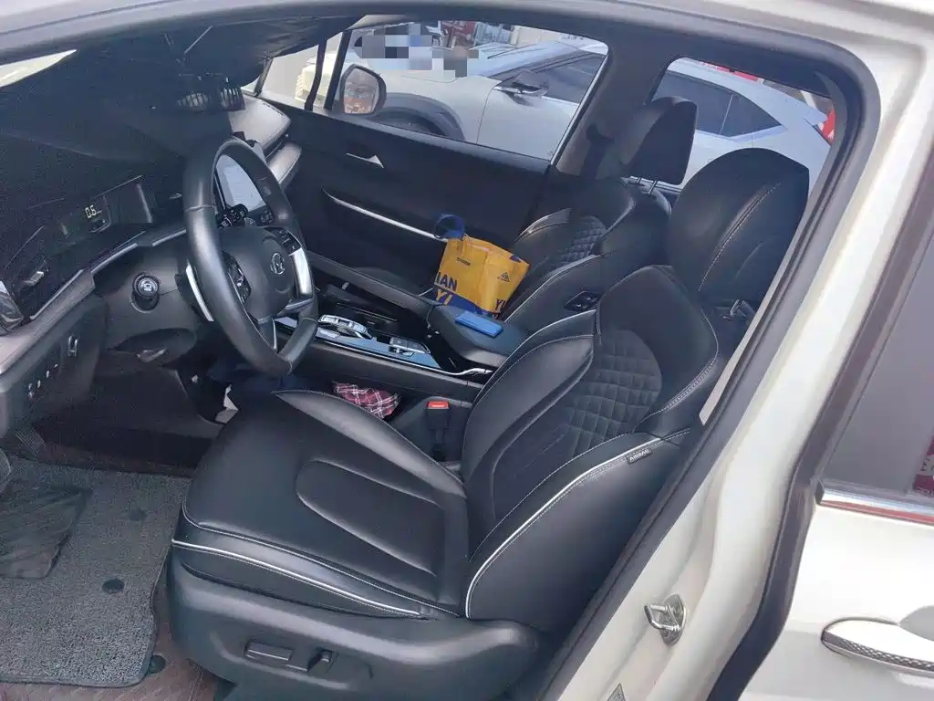 Hyundai Custo — миниатюра 11
