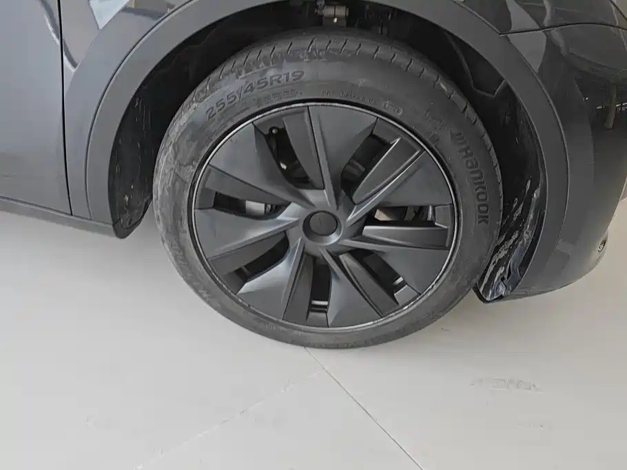Tesla Model Y — миниатюра 6