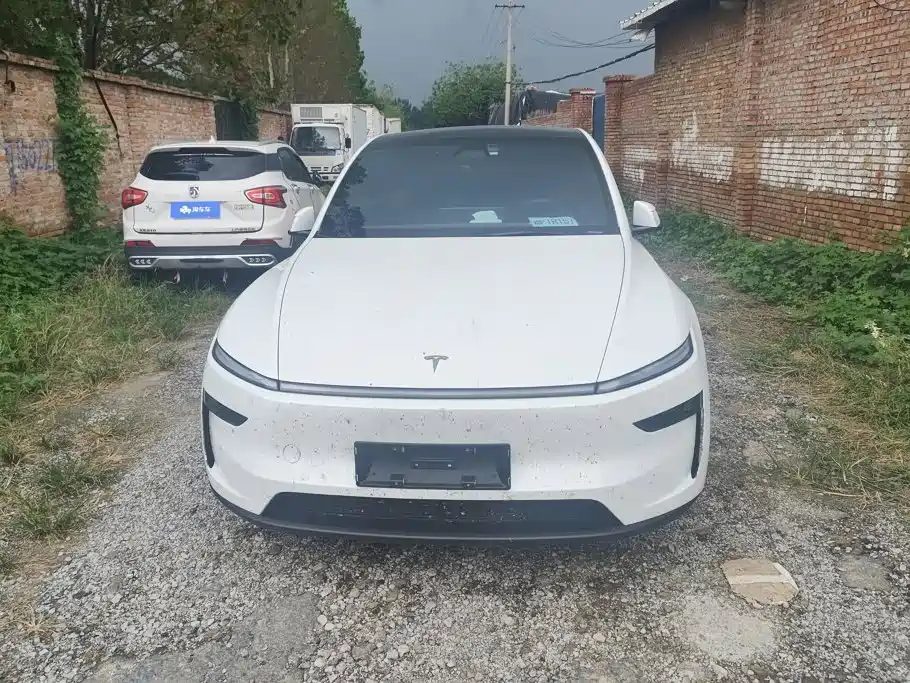 Tesla Model Y — миниатюра 2
