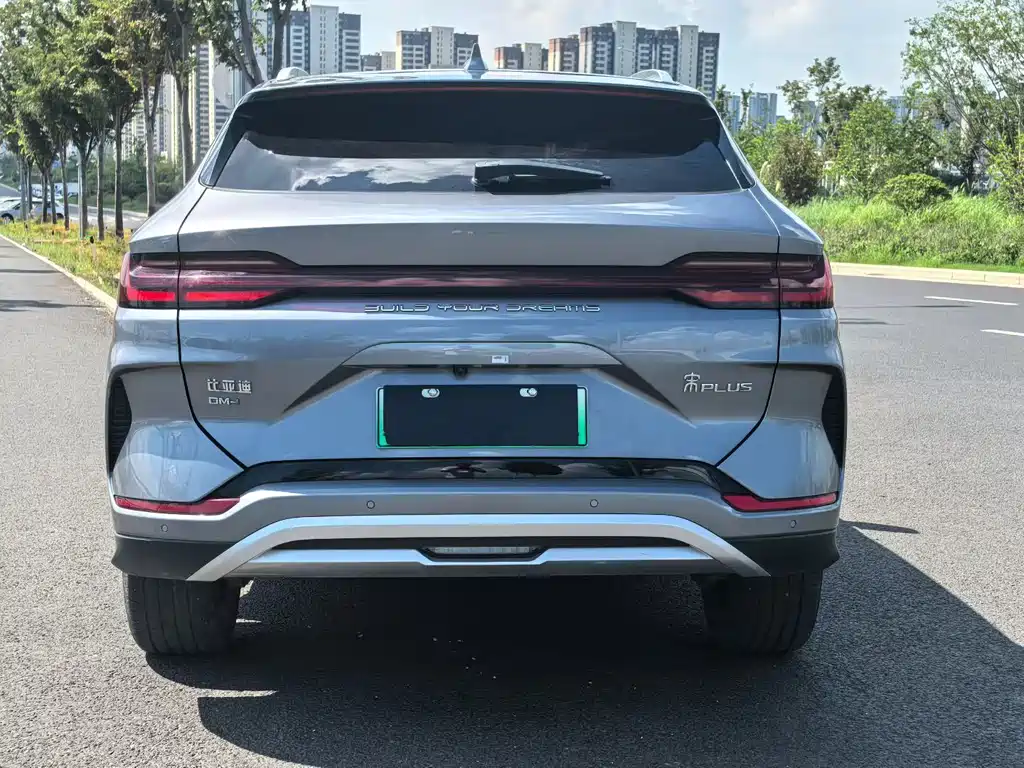 BYD PLUS New Energy - фото 7