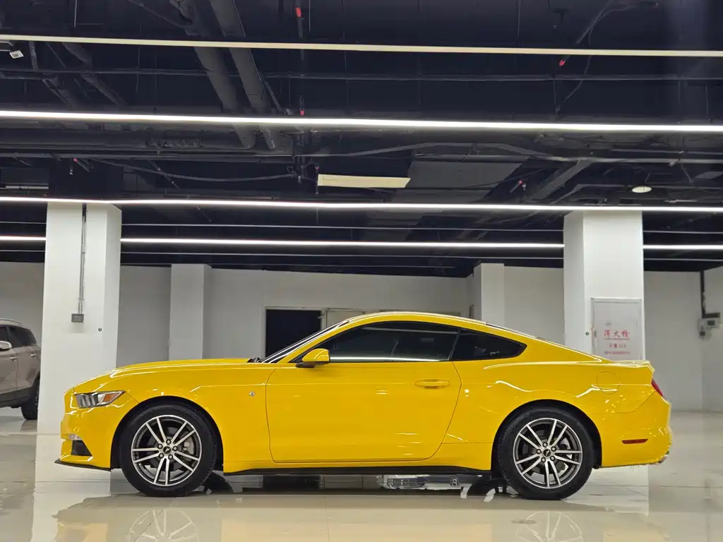 Ford Mustang — миниатюра 3