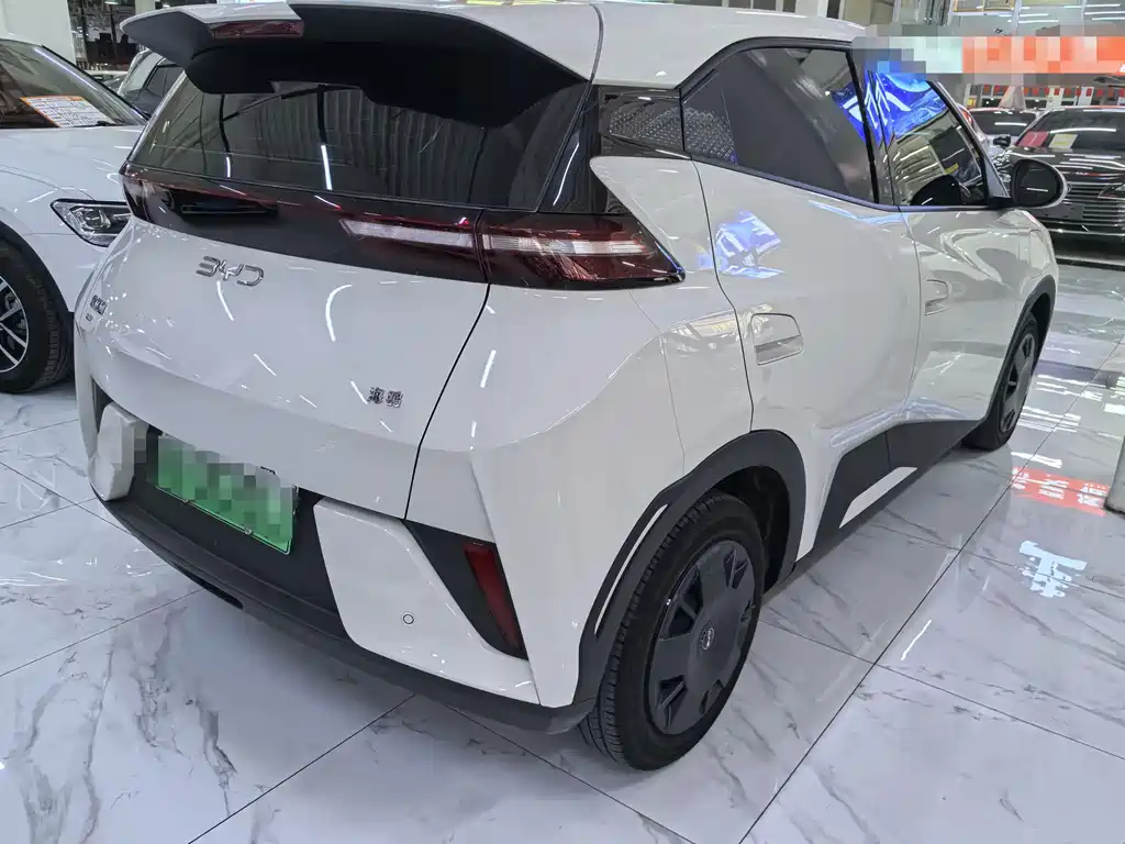 BYD Seagull 2025 305km