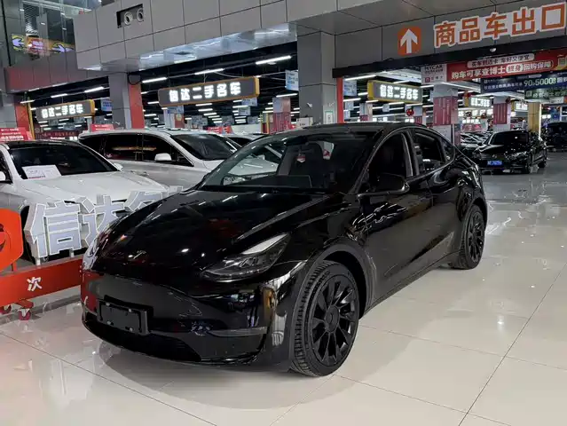 TESLA MODEL Y 2021