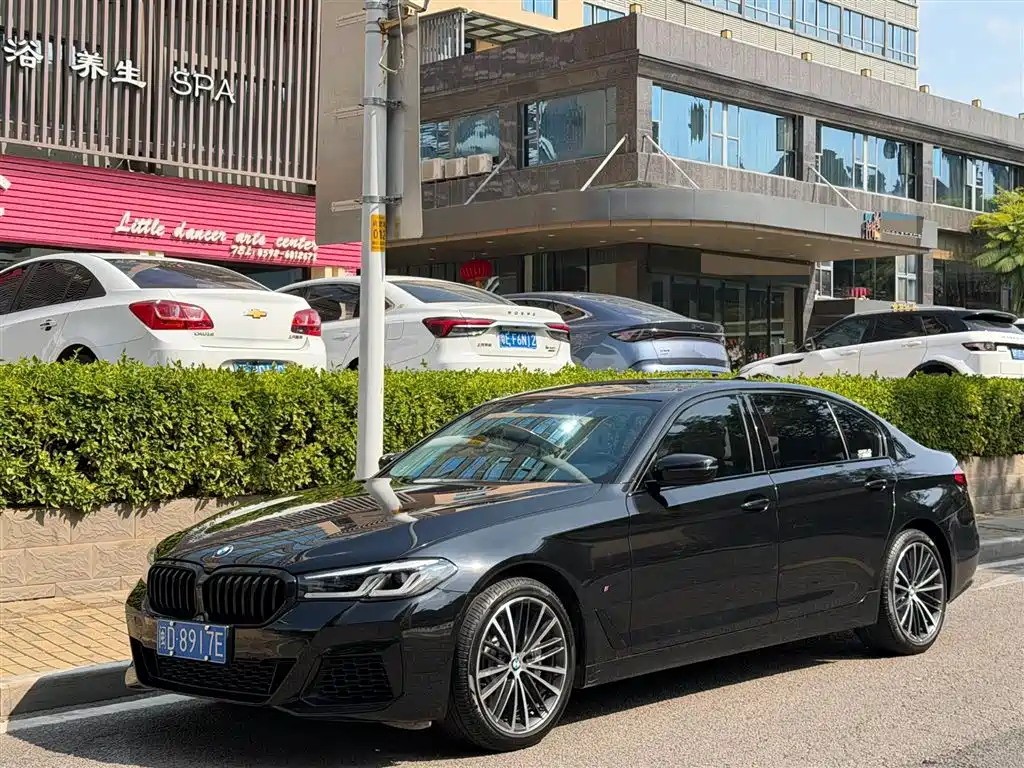 BMW 5 SERIES