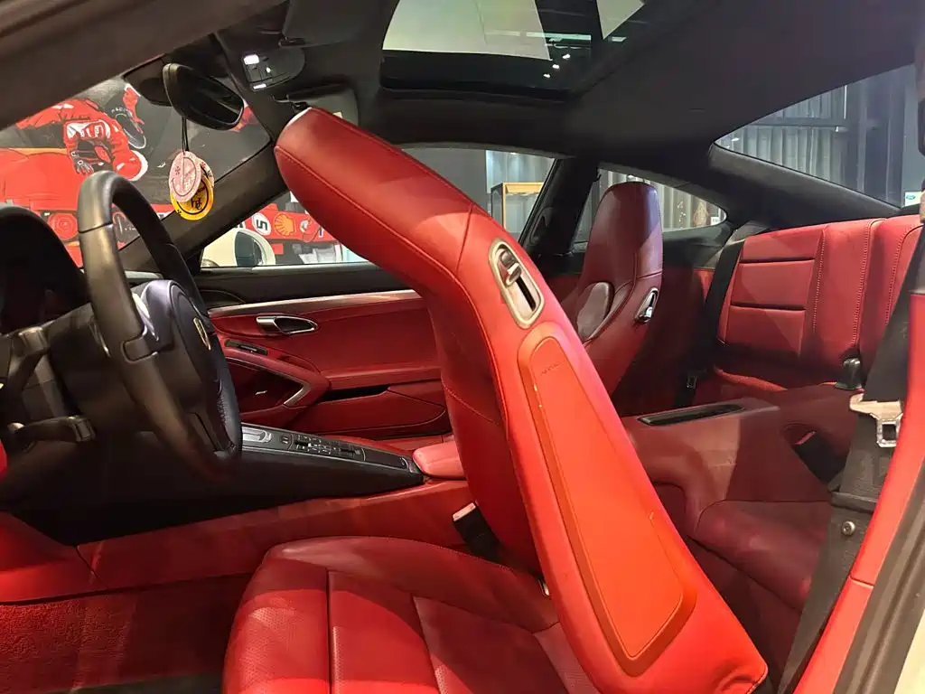 Porsche 911 — миниатюра 11