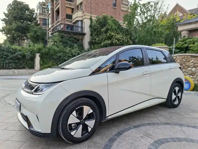 2024 BYD Dolphin