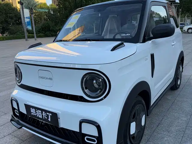 GEELY GALAXY PANDA 2025