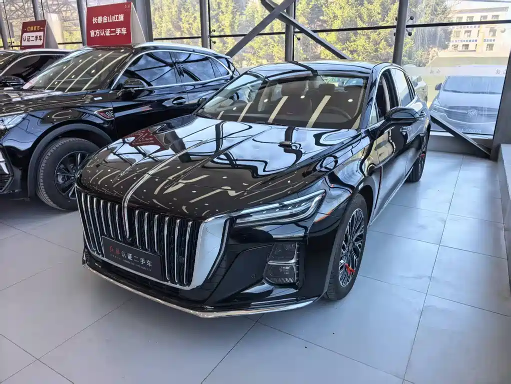 Hongqi Hongqi H5 2024