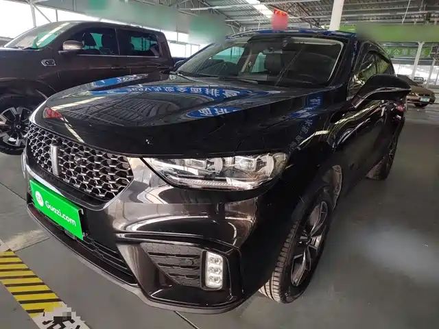 WEI PAI WEI BRAND VV5