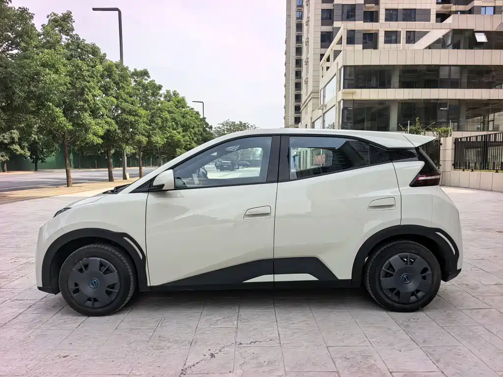 BYD Seagull 2025 305km