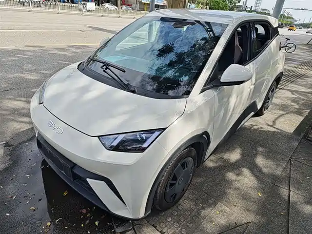2024 BYD Seagull