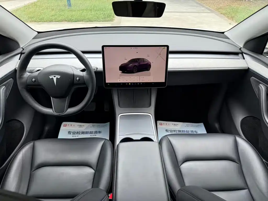 Tesla Model Y — миниатюра 13