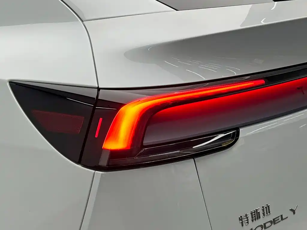 Tesla Model Y — миниатюра 10