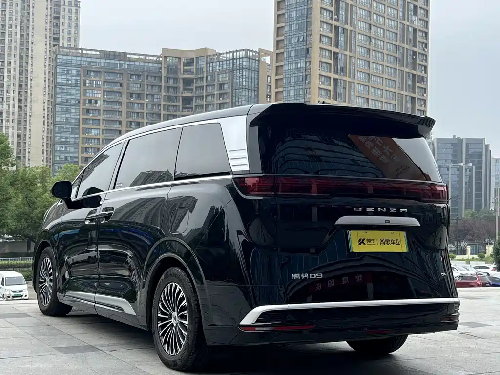 Denza Denza D9 — миниатюра 6