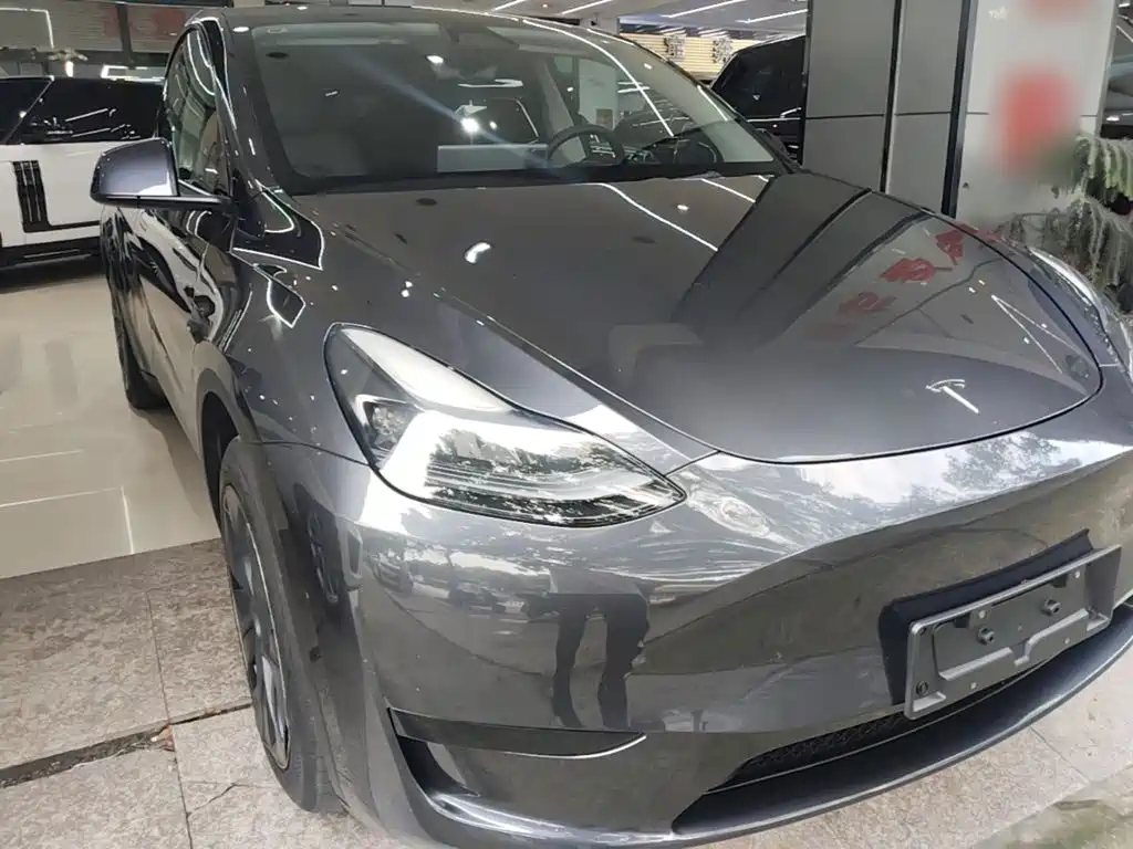Tesla Model Y — миниатюра 4