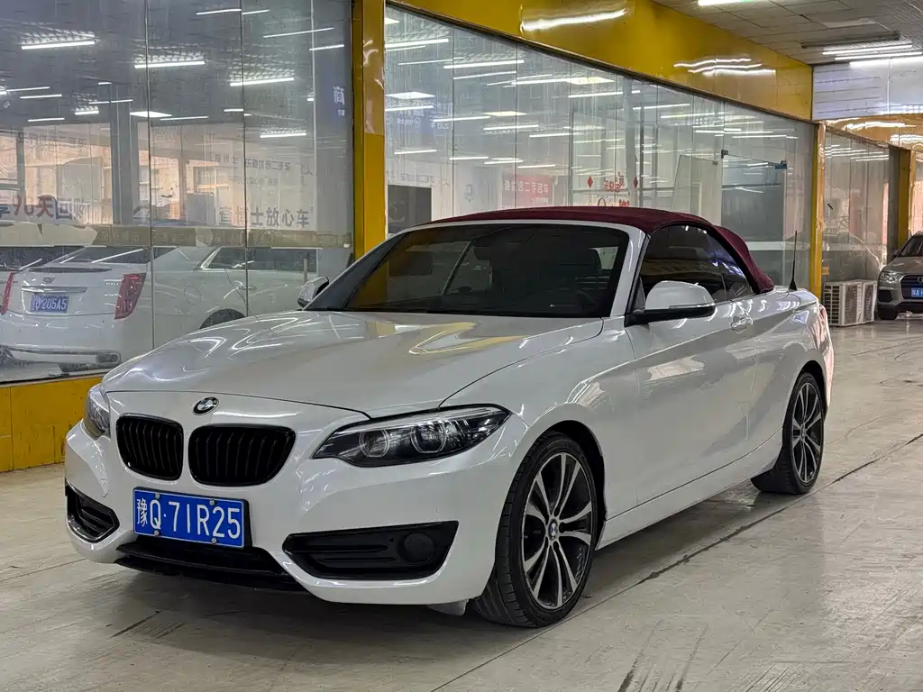 BMW 2 Series (Import) 2020