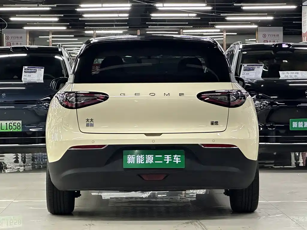 Geely Geome Xingyuan 2025 310km
