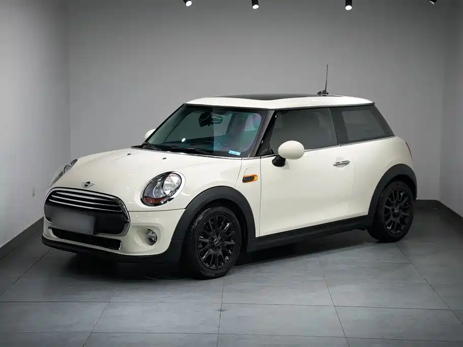 Mini Mini 2018