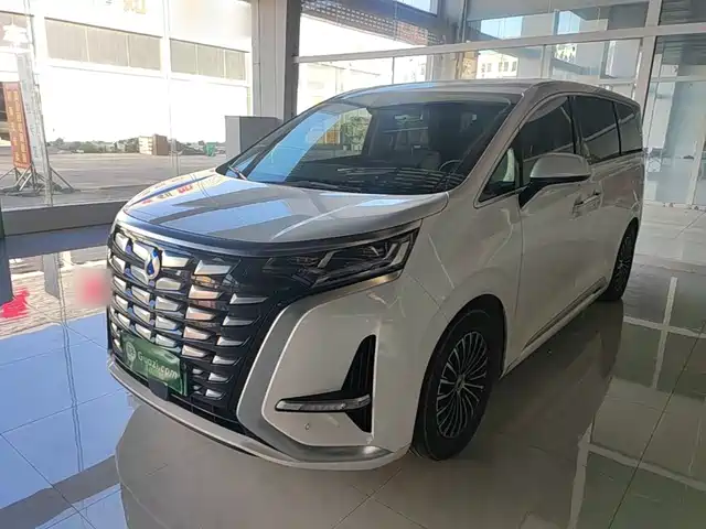 Denza D9