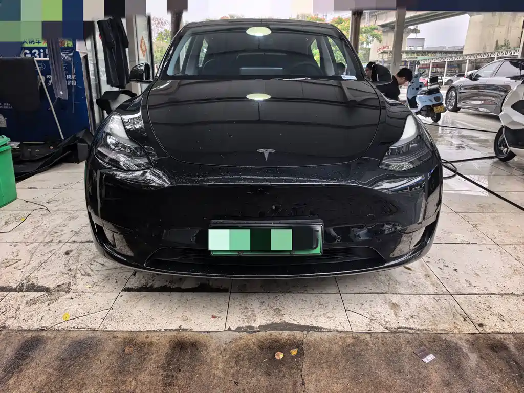 Tesla Model Y — миниатюра 2