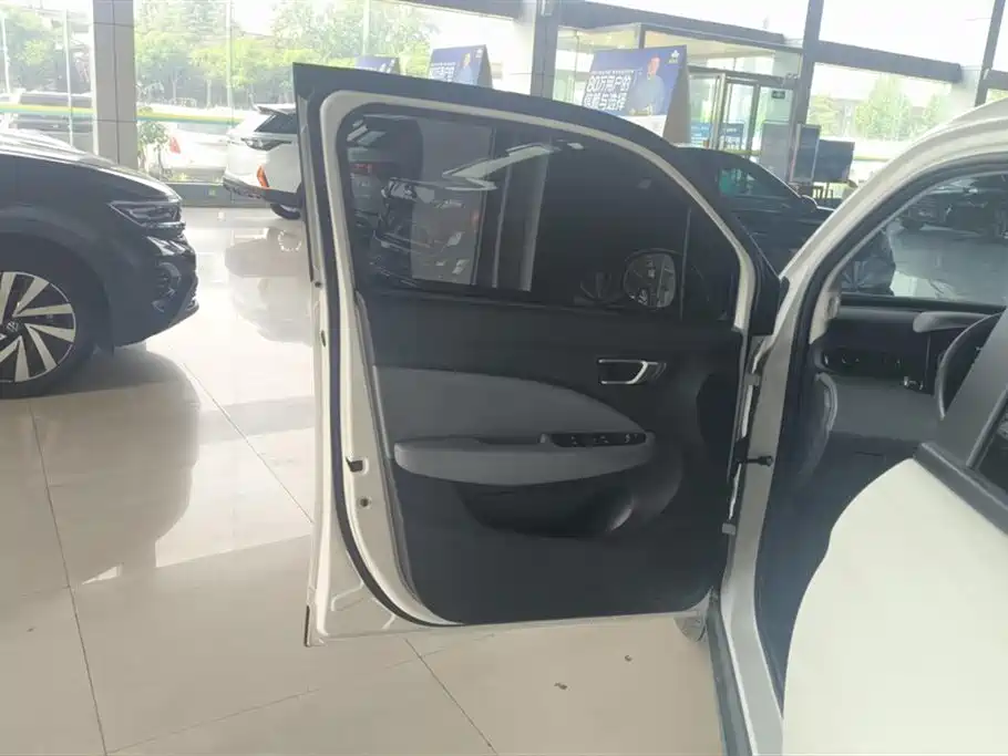 Leapmotor T03 2025 310