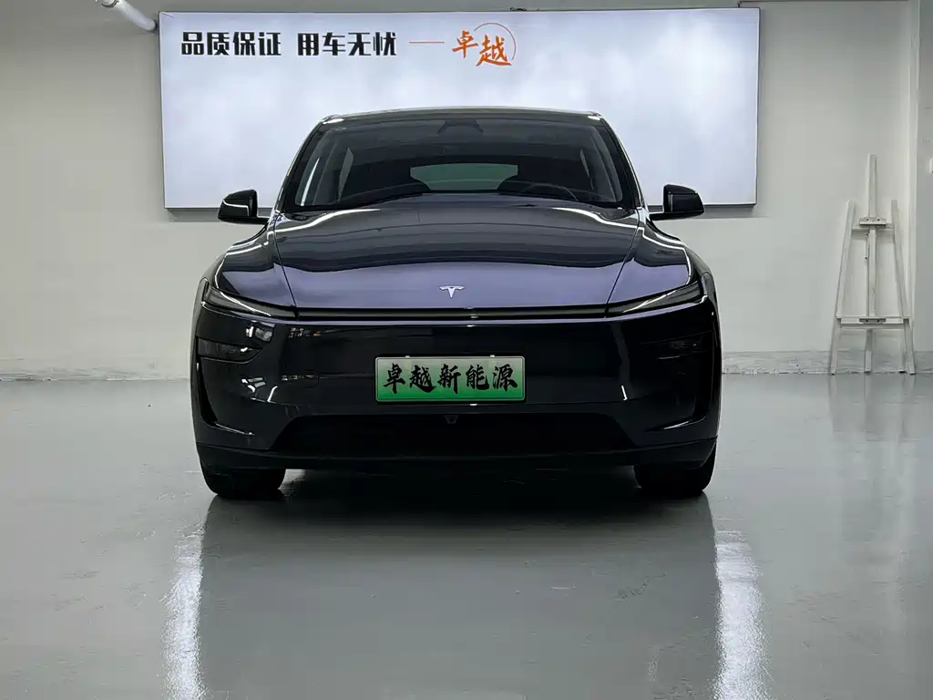 Tesla Model Y — миниатюра 2