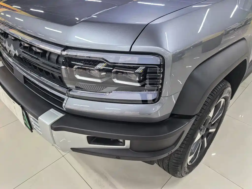 FANG CHENG BAO LEOPARD 5