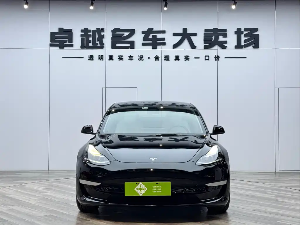 Tesla Model 3 2021 3D6