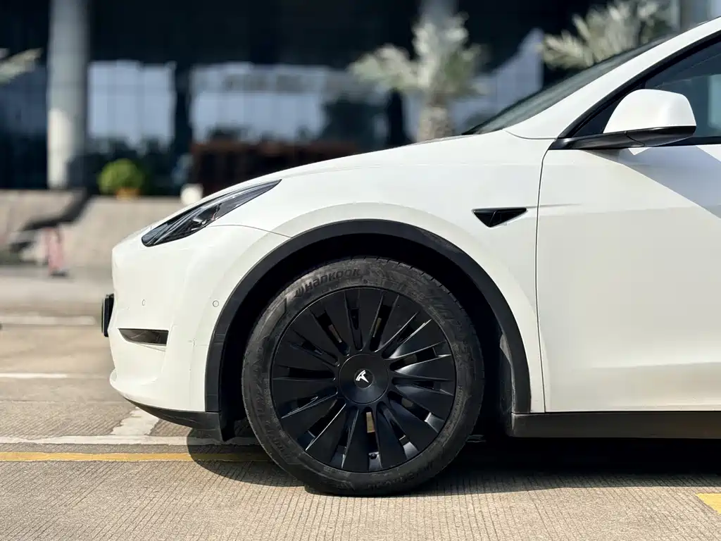Tesla Model Y — миниатюра 19