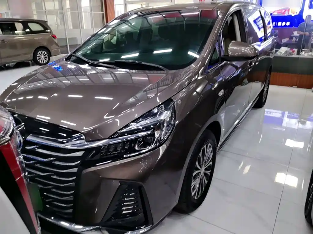 Buick GL8 — миниатюра 2