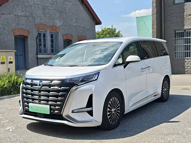 2024 Denza D9