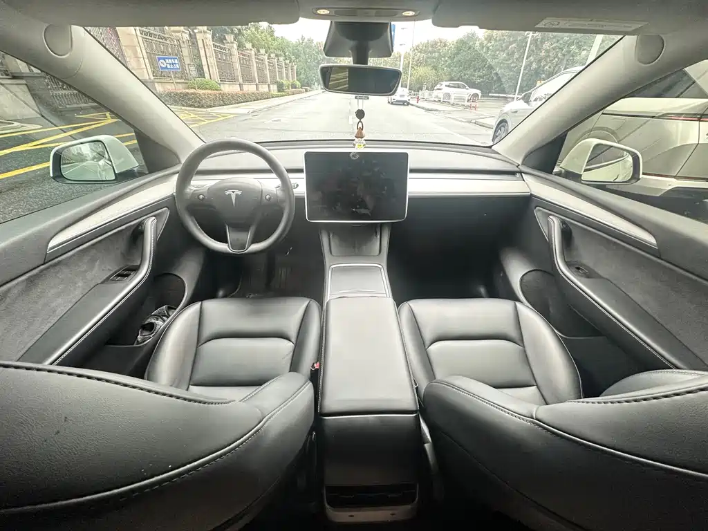 Tesla Model Y — миниатюра 2