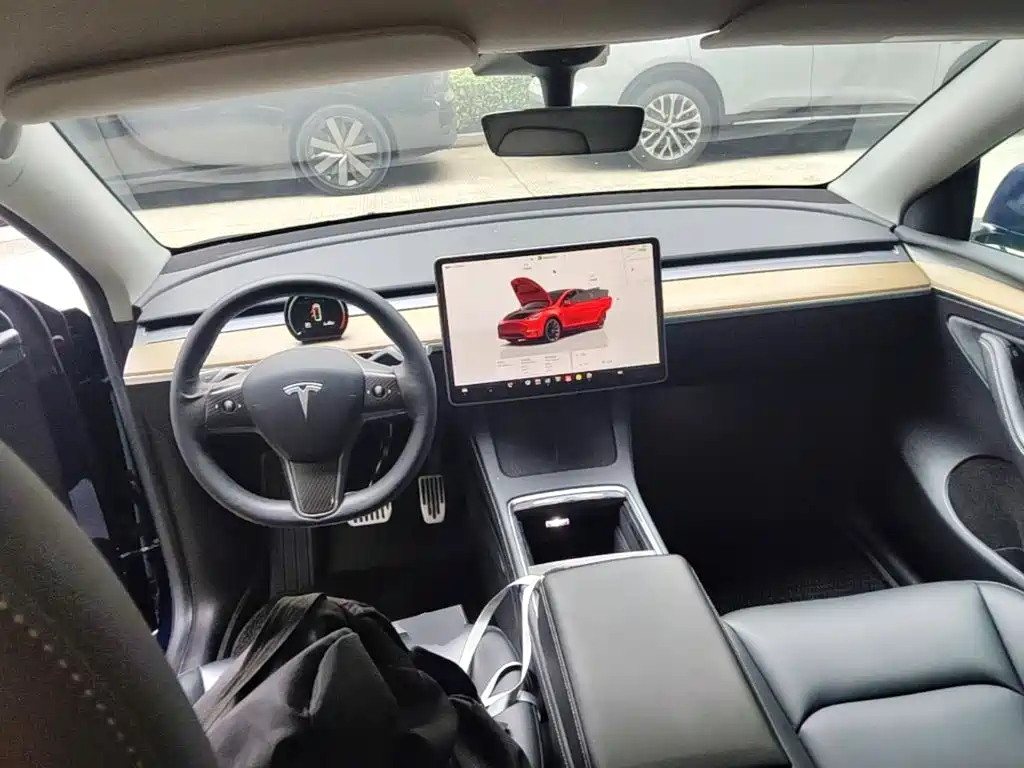 Tesla Model Y — миниатюра 10