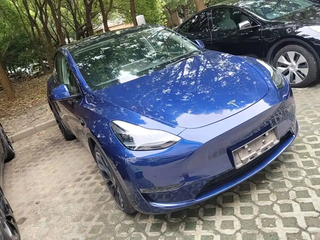 Tesla Model Y — миниатюра 4