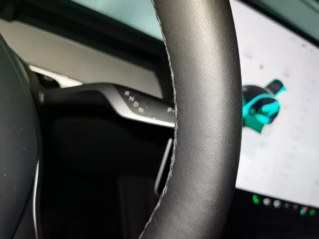 Tesla Model Y — миниатюра 19