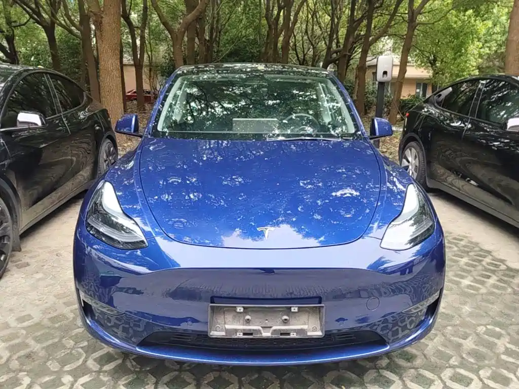 Tesla Model Y — миниатюра 3