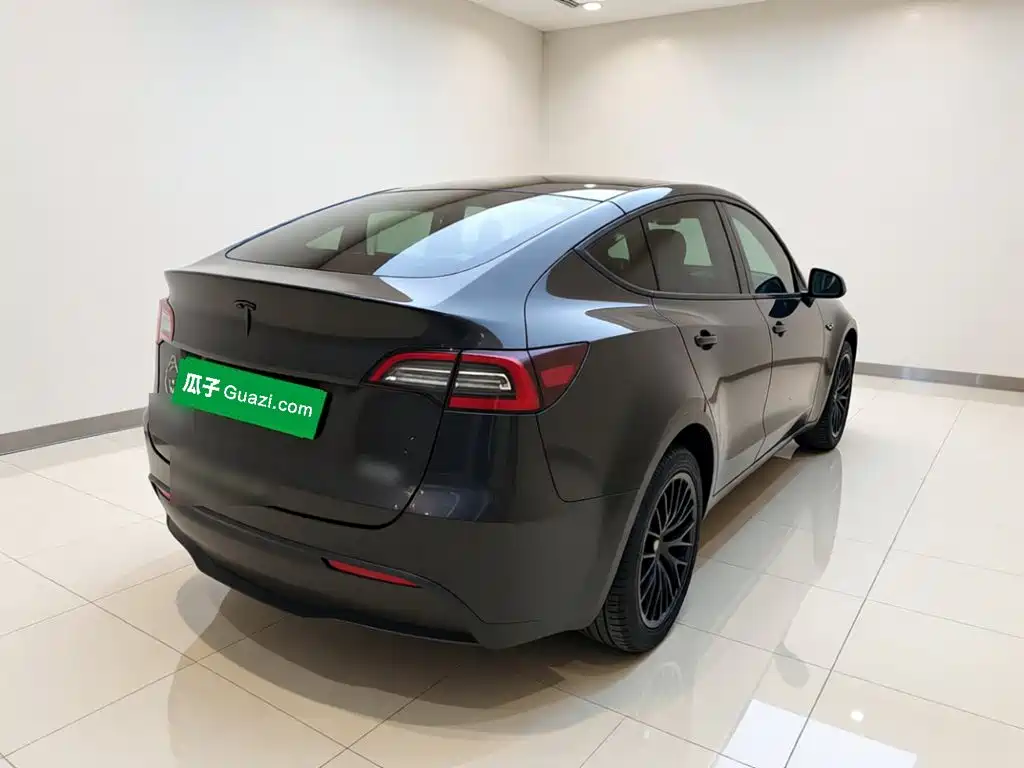 Tesla Model Y — миниатюра 6